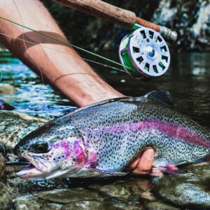Pesca ½ día