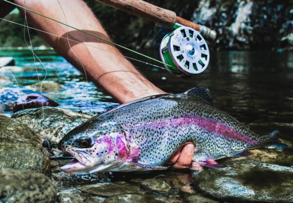 Pesca ½ día